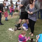 Geelong - Festa sulla spiaggia